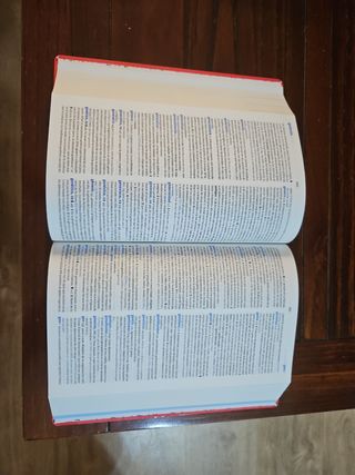 Diccionario Secundaria y Bachillerato. Lengua e...