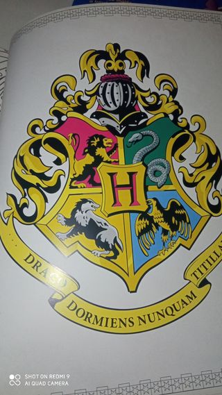 1000 palabras en ingles Harry Potter Colouring etc