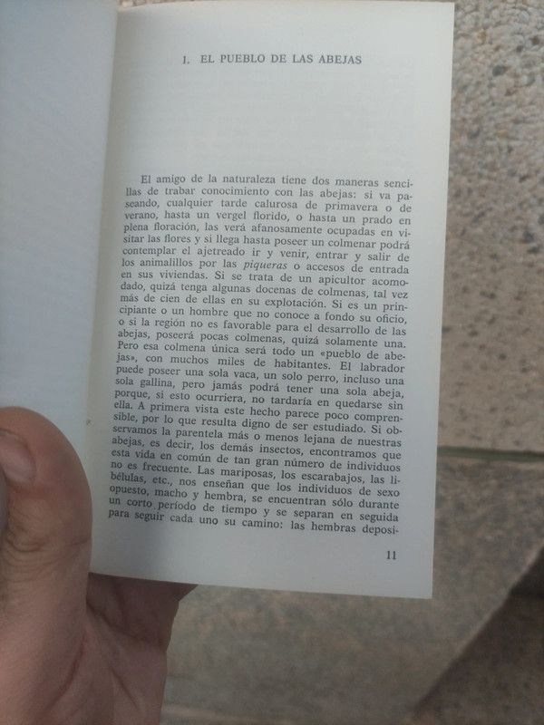 La vida de las abejas