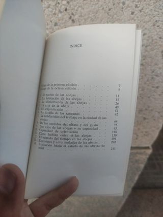 La vida de las abejas