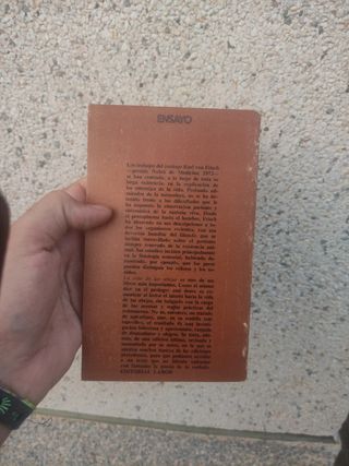 La vida de las abejas