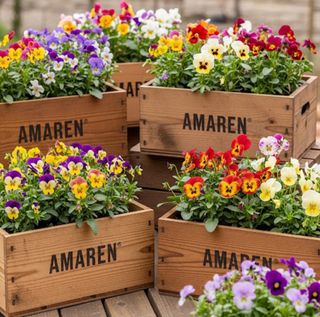 Scatole in legno, vasi, artigianato, casa, armadi