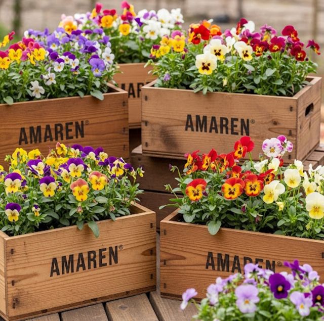 Scatole in legno, vasi, artigianato, casa, armadi