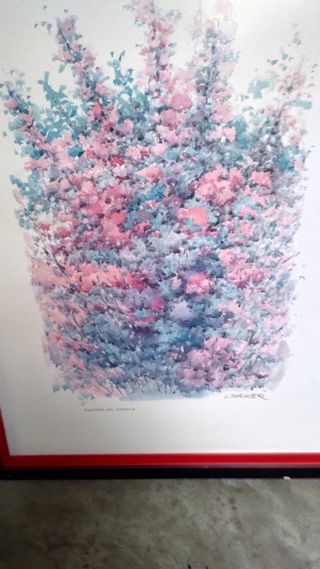 Acquarello FIORITURA J.Koehlner