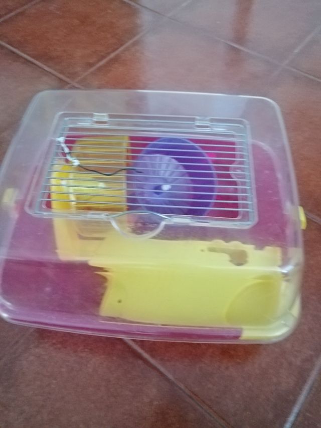 Tortuguero Jaula Roedores