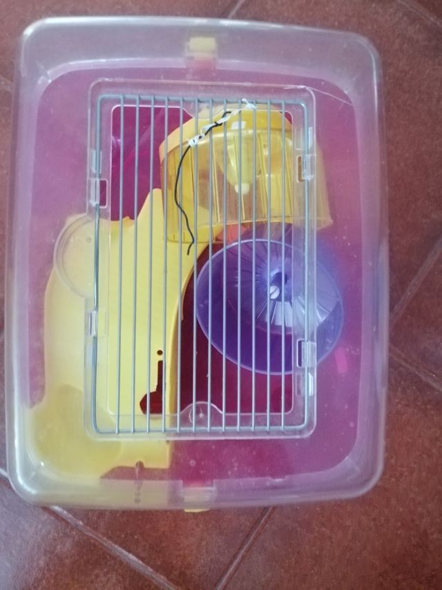 Tortuguero Jaula Roedores