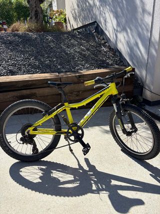 scott scale 20’