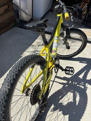 scott scale 20’