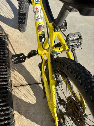 scott scale 20’