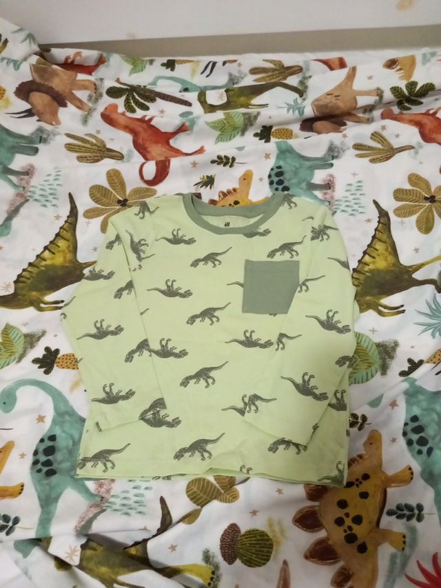 Age 2-4 long sleeved top