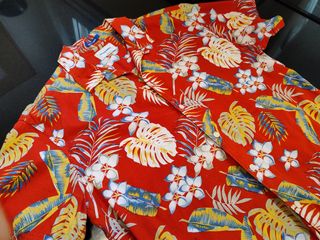 Hawaiana Jordi Wild