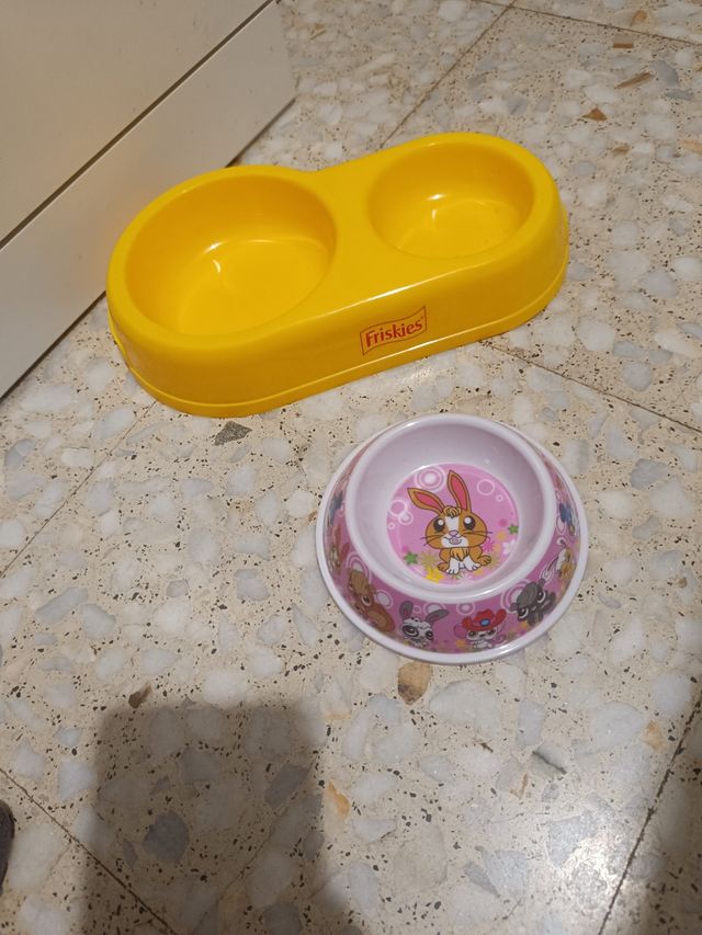 2 Comederos Perros Gatos