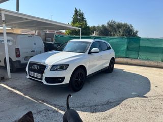Audi Q5 2010