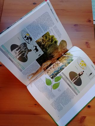 Los Dinosaurios descubrimientos especies extinción