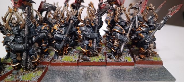 25 Guerreros Elegidos del Caos (precio negociable)