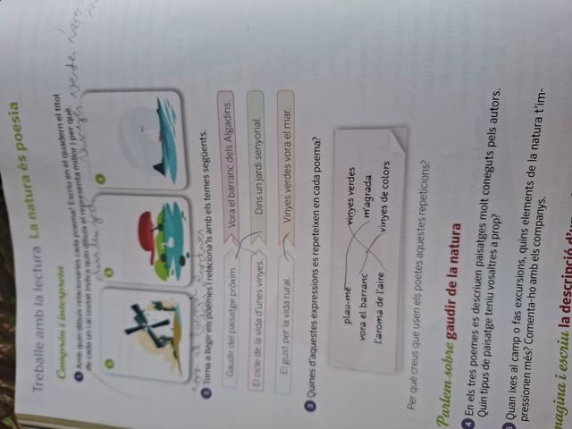 Llengua, bon vent. 6 Primària. Saba