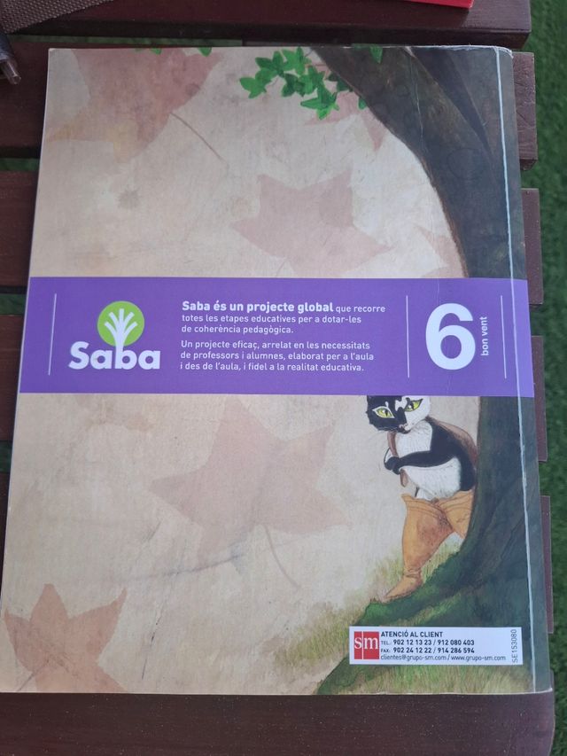 Llengua, bon vent. 6 Primària. Saba