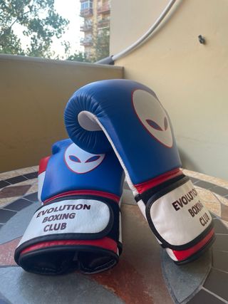 Guantes boxeo 16 oz Evolution