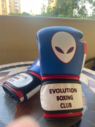 Guantes boxeo 16 oz Evolution