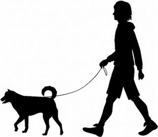 Paseo perros - Madrid