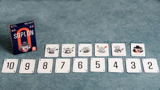 (OFERTA 25%) SOPLÓN