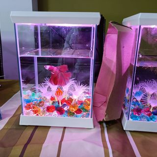 Pecera para Betta con luz LED, 5 Litros .