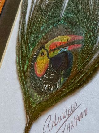 Set 2 quadri con piume dipinte