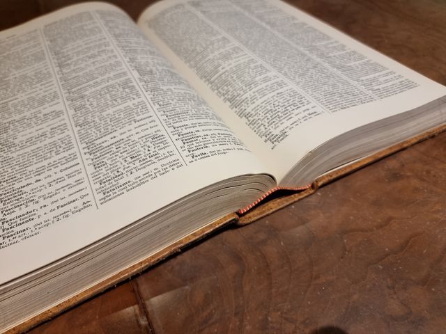 Enciclopedia de la Lengua Española. Real Academia