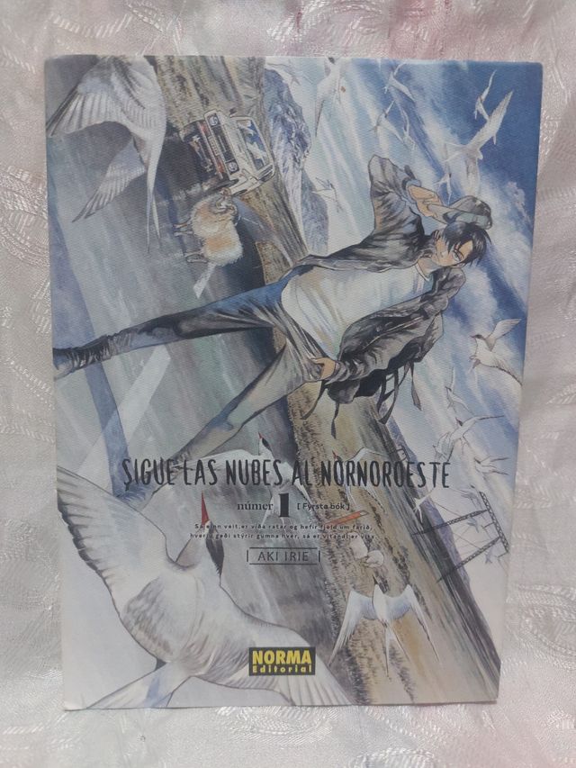 Sigue las nubes al nornoroeste 1 (Spanish Edition)