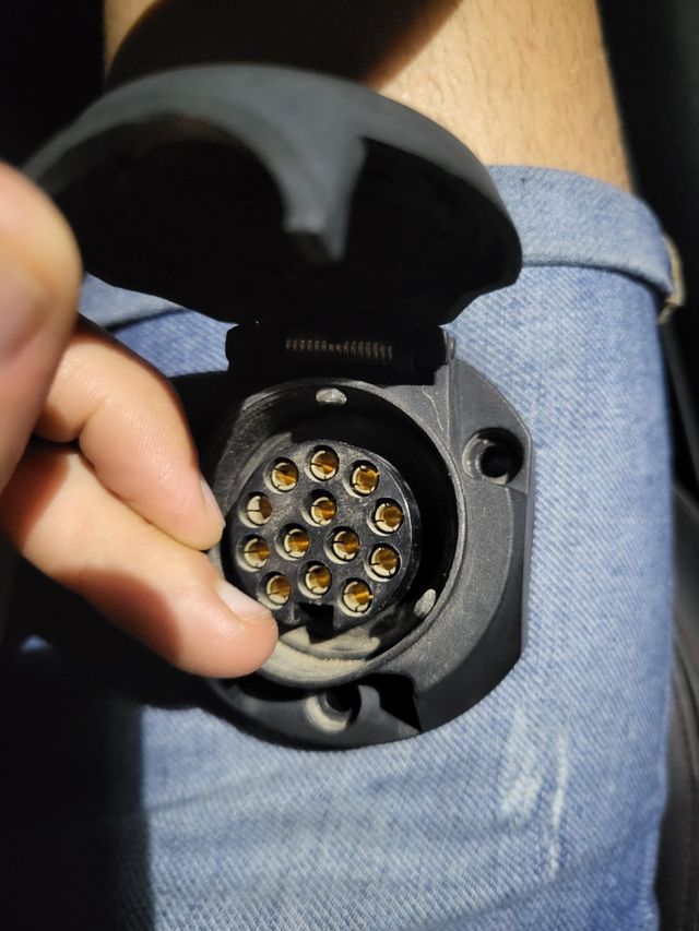 Ananas Rimorchio 12 Pini