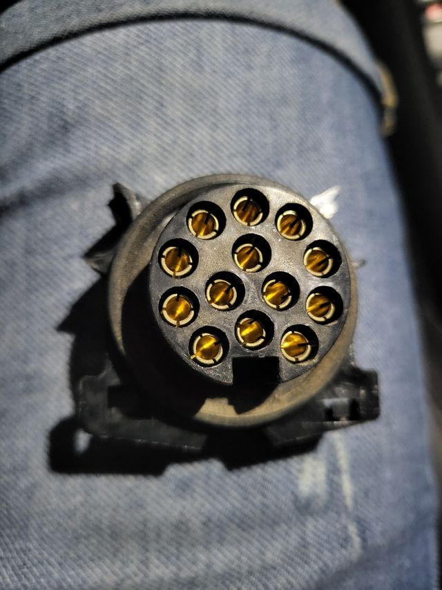 Ananas Rimorchio 12 Pini