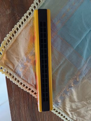 Armonica bambini colorata