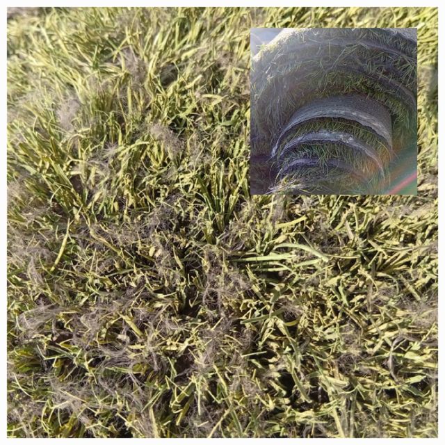 Cesped artificial reciclado