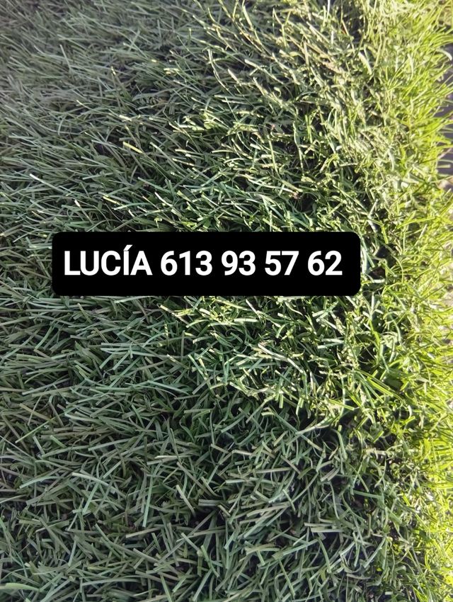 Césped artificial reciclado