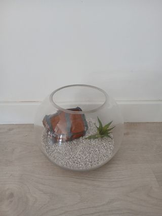 Pecera de cristal acuario