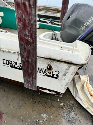 Barco recreo a motor