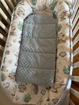 Cuna Moisés Reductor Bebé