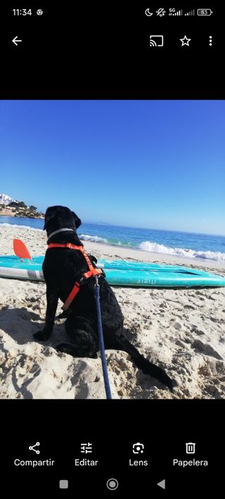 Alquiler Tabla Paddle S ITIWIT 10'
Alq 15€