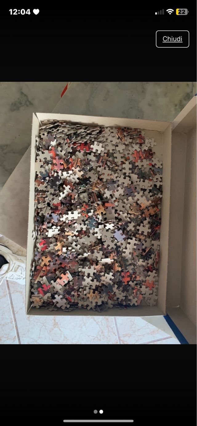 Puzzle Wild Horse 1000 pezzi Venezia