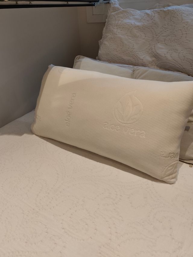 Almohada Aloe Vera - Blanca