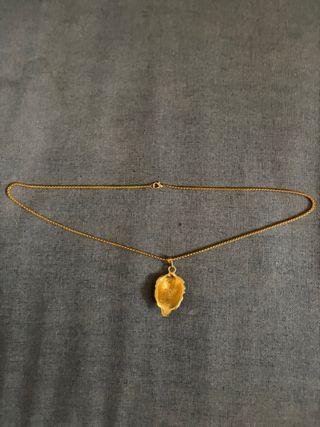 Collar con dije de león dorado