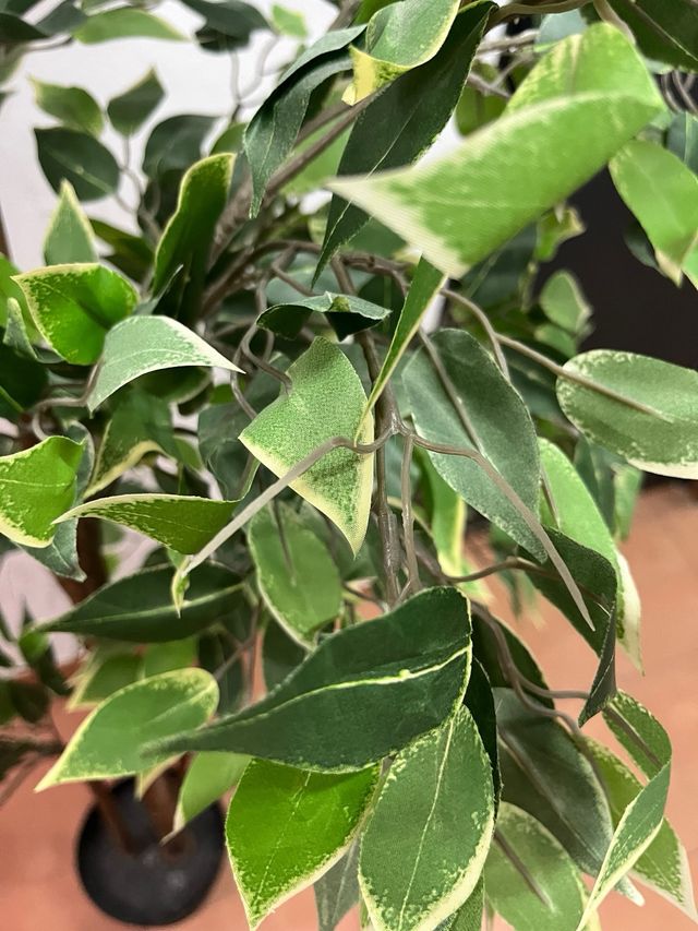 Planta artificial FEJKA IKEA 21cm