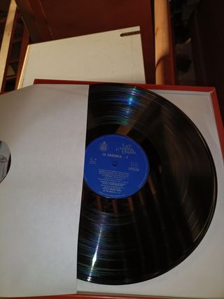 Dischi Vinile