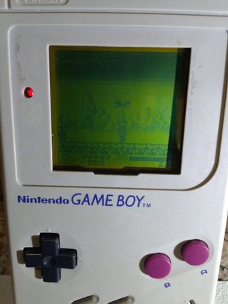 Juego Daffy Duck Game Boy 
