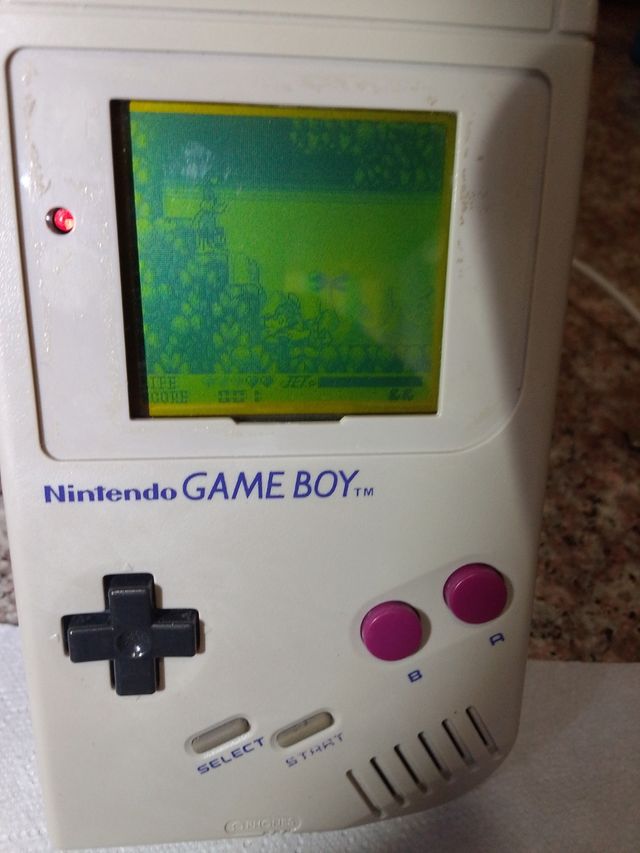 Juego Daffy Duck Game Boy