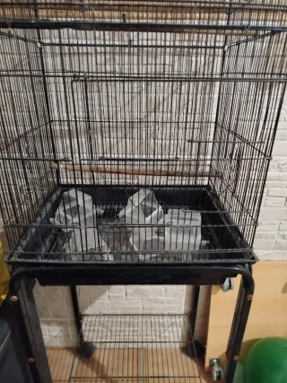 Jaula pajaros grande negra