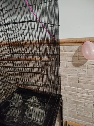 Jaula pajaros grande negra