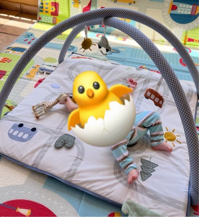 Gimnasio bebé actividades coches