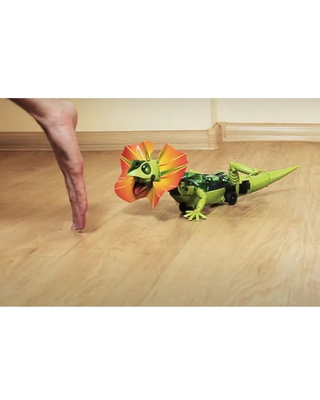 Lagartija Robot. Móntalo tú mismo.