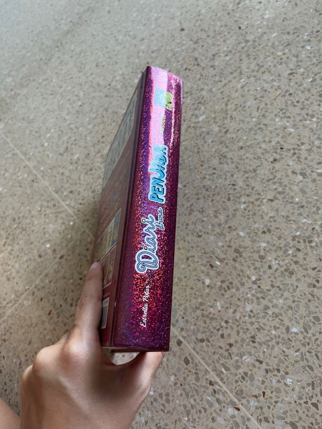 Diari d'una Penjada 1. Manual de supervivència ...